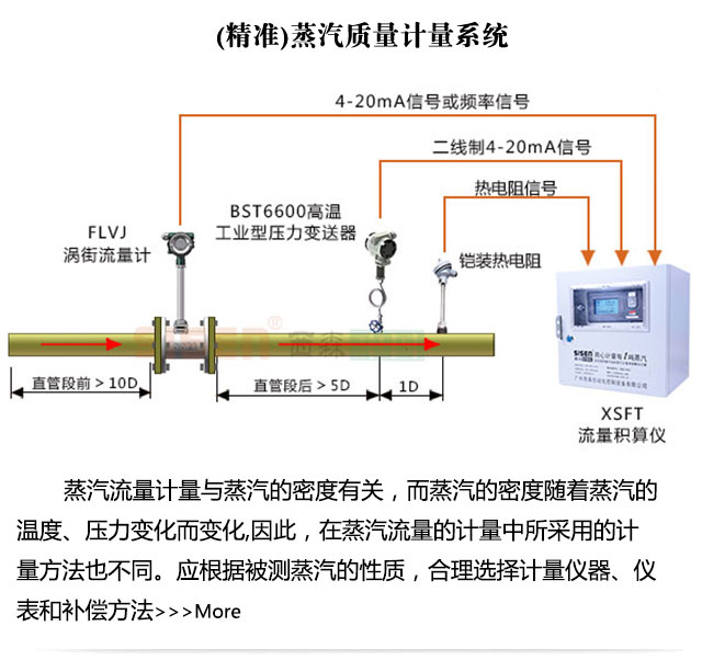 [精準(zhǔn)]飽和蒸汽計量系統(tǒng)