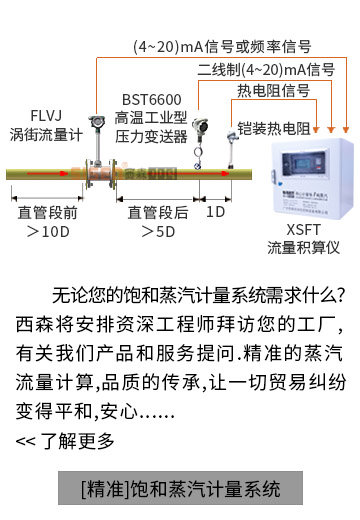 【精準】飽和蒸汽計量系統(tǒng)